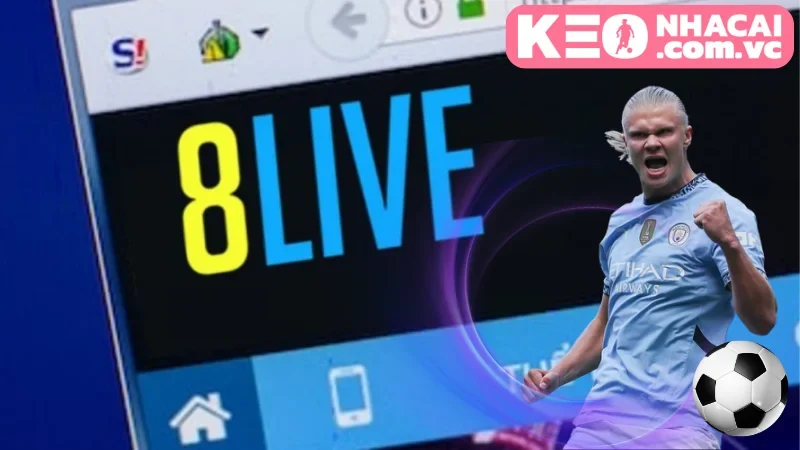 8LIVE: Cá cược bóng đá - Thắng lớn dễ dàng!