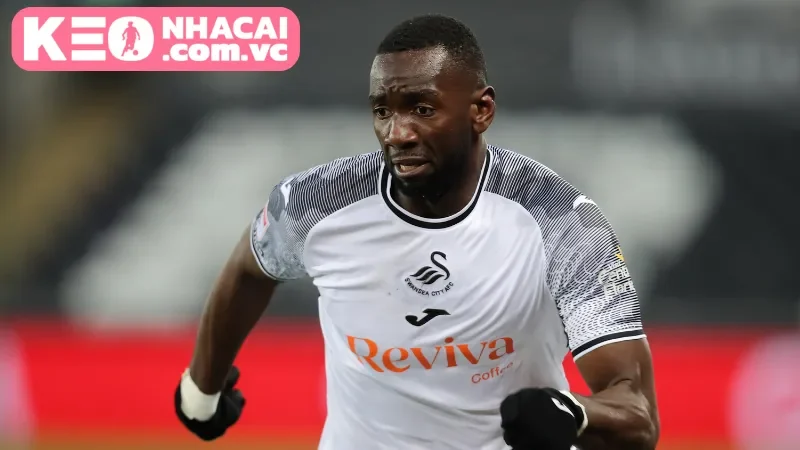 Lịch sử đối đầu của hai đội Swansea City vs Manchester City trong quá khứ