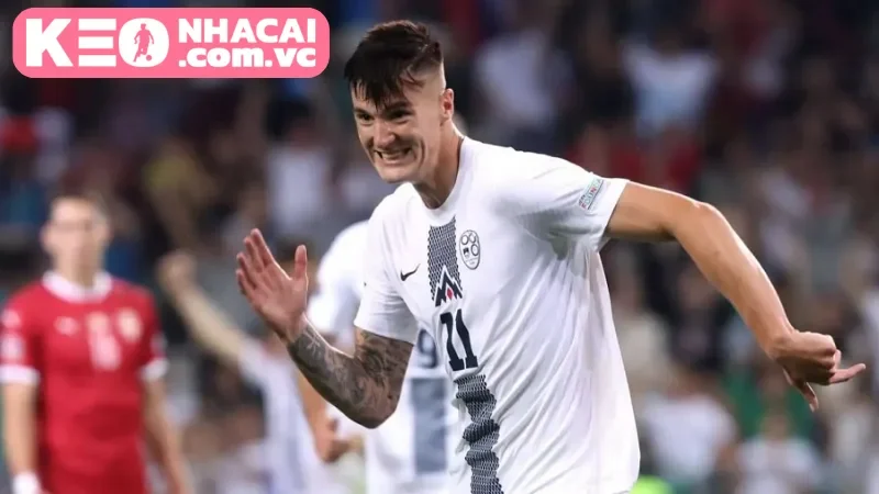 Lịch sử đối đầu của hai đội Sweden vs Slovenia trong quá khứ